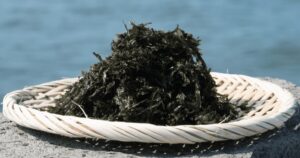 バラ干し海苔とは板海苔に成形せずばらの状態で乾燥させた海苔。味噌汁やご飯、ラーメン、パスタなどに使える有明海産の海苔